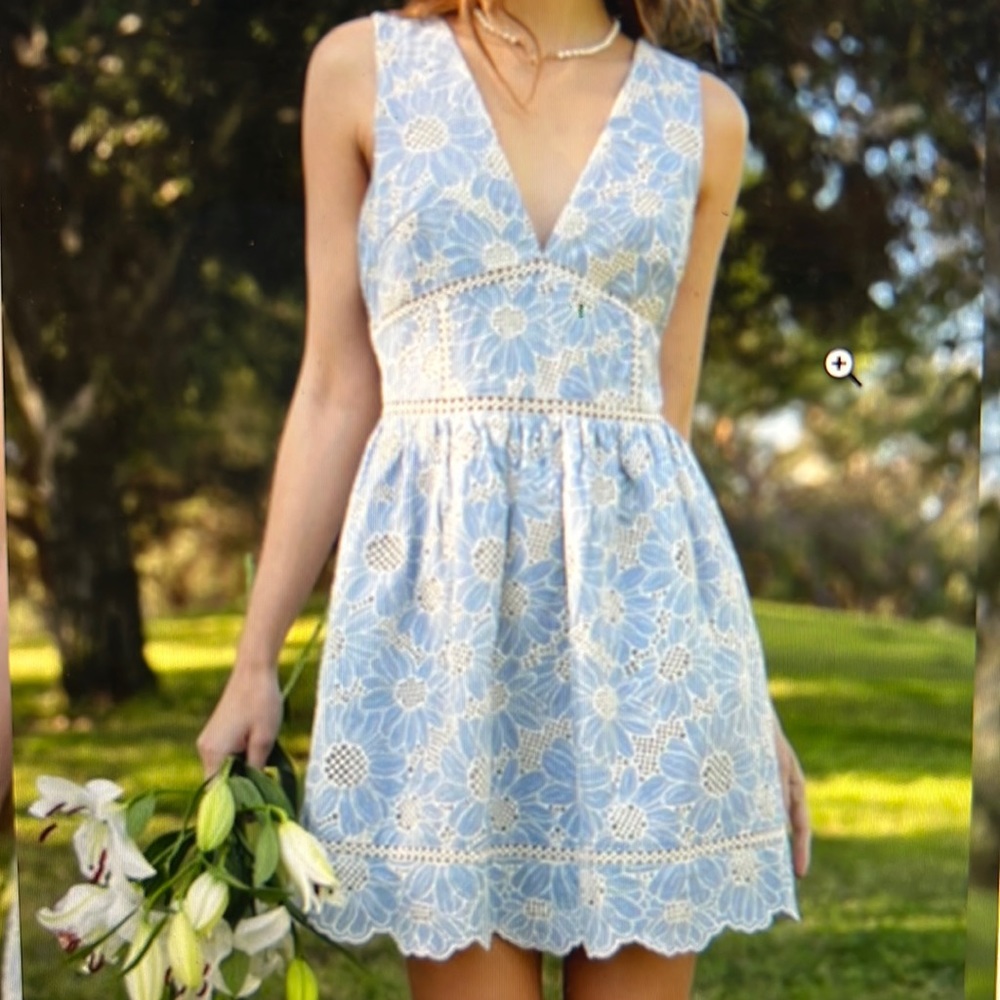 Adepts Rae blue embroidered dress worn once perfect condition